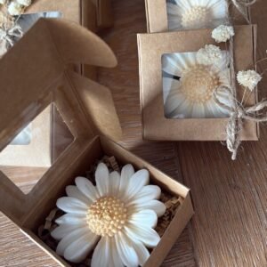 Petite Marguerite
